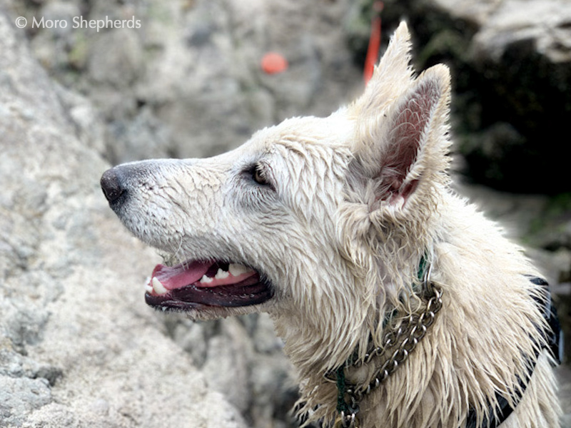 Kimber beach smile