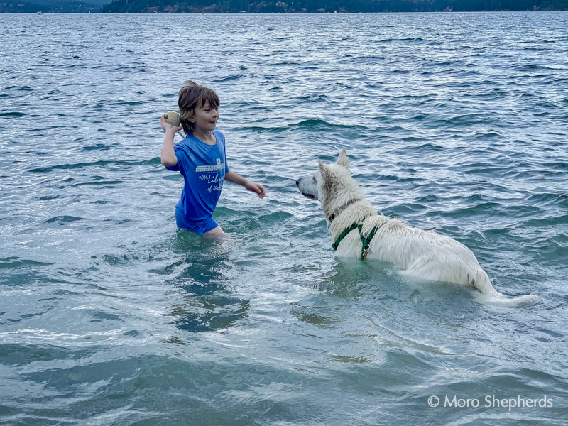 Kimber swims with Patrick