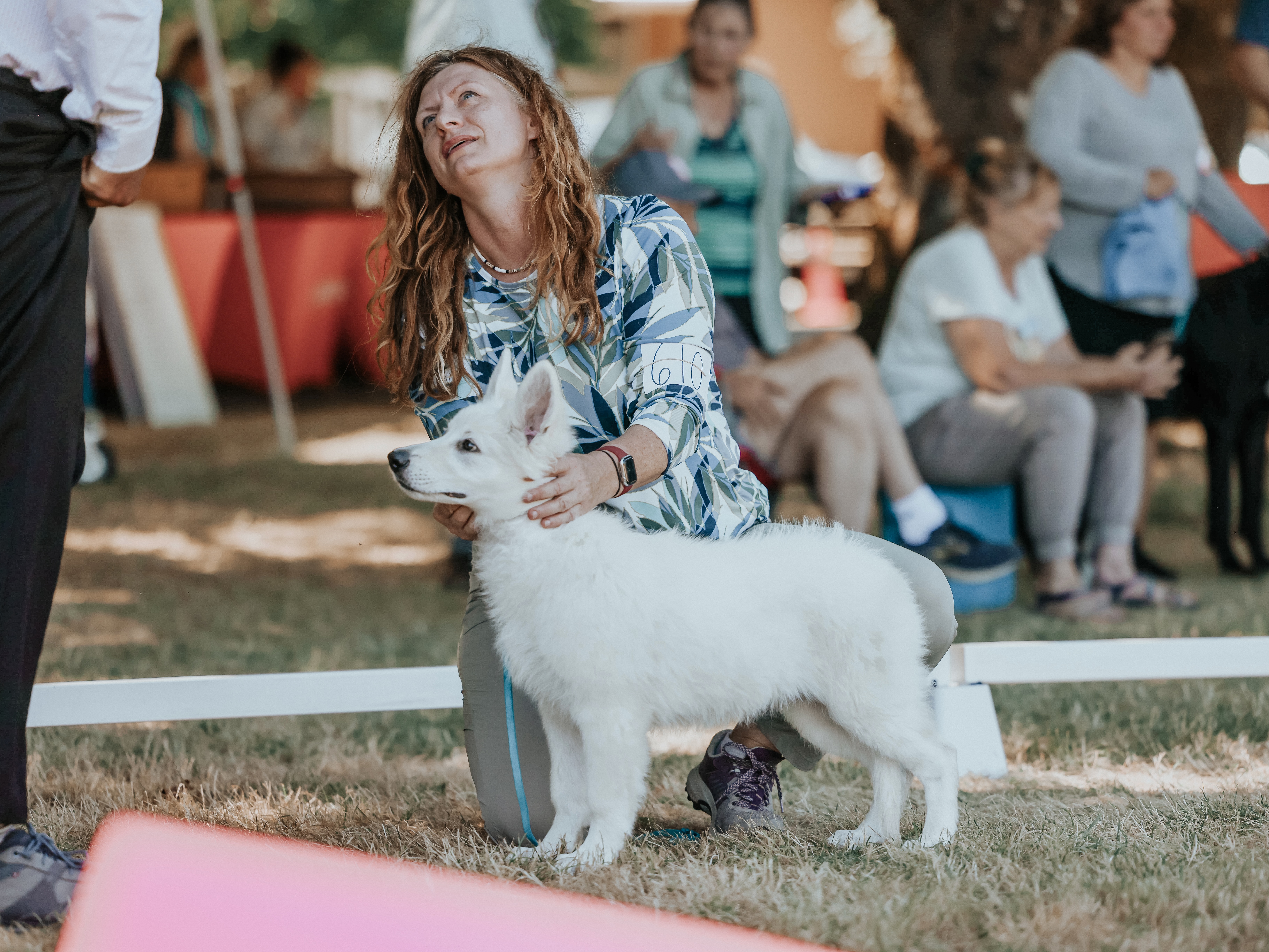 baby Renata at her very 1st dog show