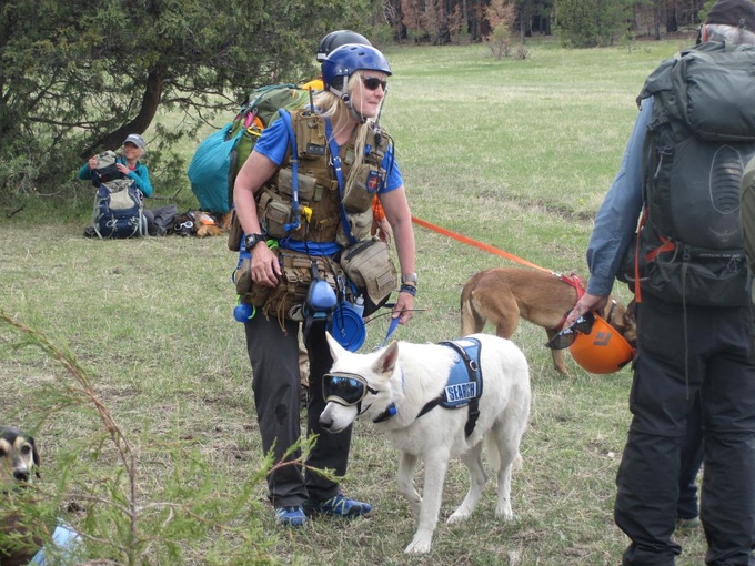 White Shepherd search and rescue training